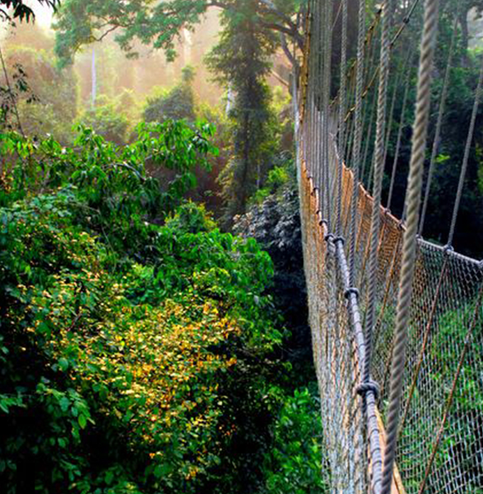Kakum National Park
